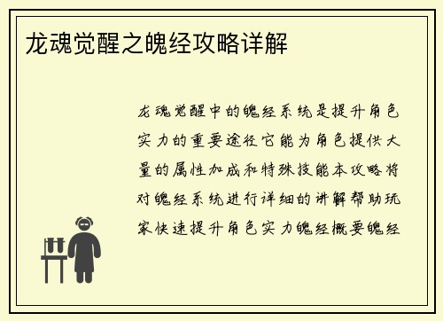 龙魂觉醒之魄经攻略详解